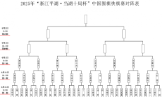 中国围棋快棋赛产生八强 上届冠亚军出局